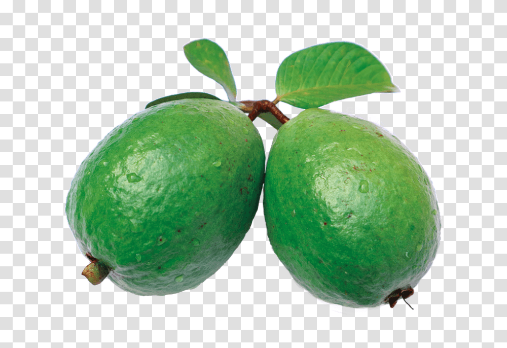 Guava, Fruit, Plant, Lime, Citrus Fruit Transparent Png