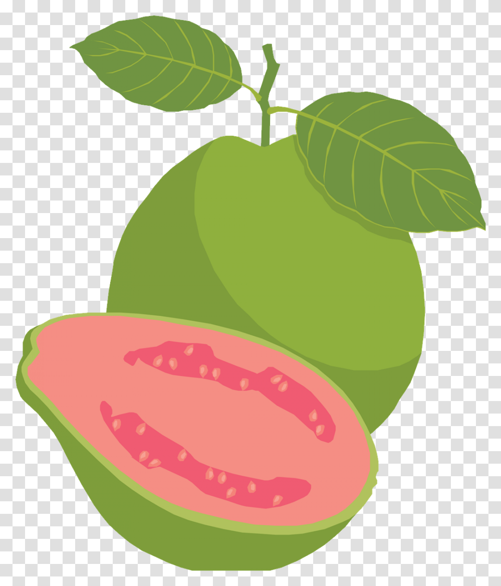 Guava, Fruit, Plant, Tennis Ball, Sport Transparent Png