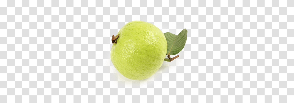 Guava, Fruit, Tennis Ball, Plant, Citrus Fruit Transparent Png