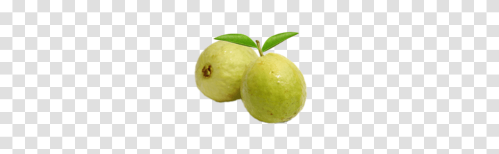 Guava, Fruit, Tennis Ball, Plant, Food Transparent Png