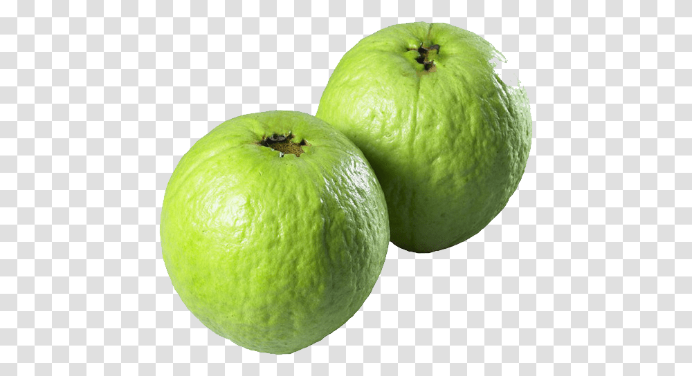 Guava, Fruit, Tennis Ball, Sport, Sports Transparent Png