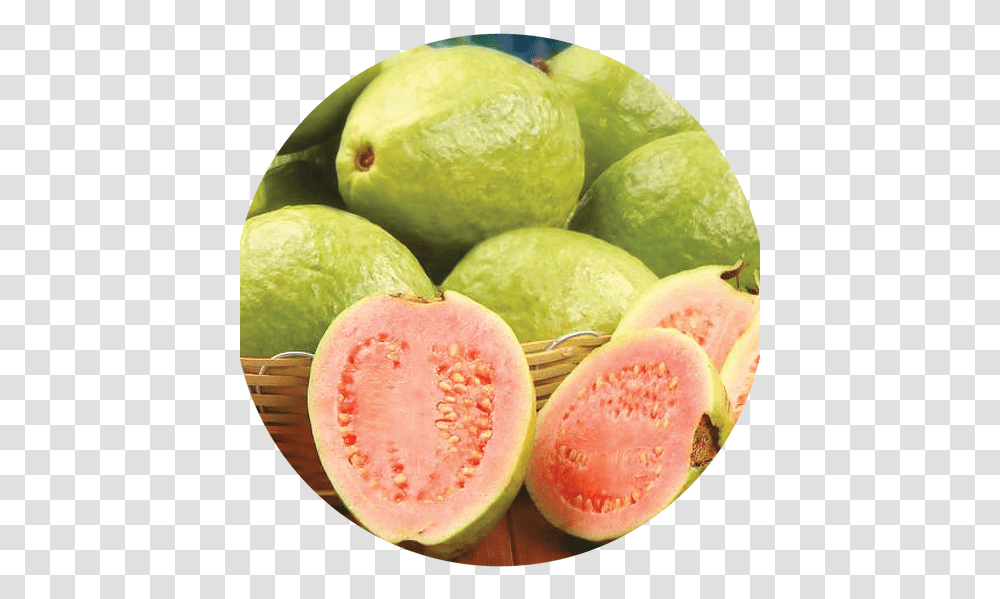 Guava Guava, Plant, Fruit, Food, Citrus Fruit Transparent Png