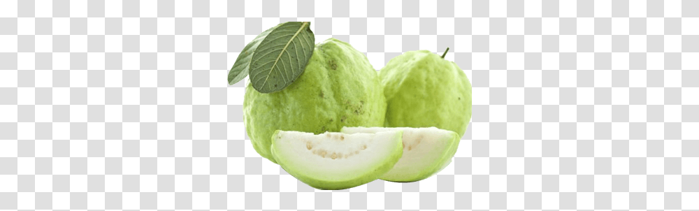 Guava Guava, Plant, Tennis Ball, Sport, Sports Transparent Png