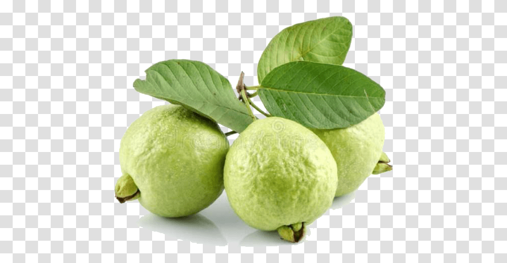 Guava Image Good Evening With Fruits, Plant, Tennis Ball, Sport, Sports Transparent Png