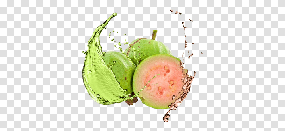 Guava Splash Image Background, Plant, Food, Vegetable, Fruit Transparent Png