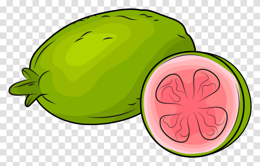Guavas Clipart, Plant, Fruit, Food, Watermelon Transparent Png