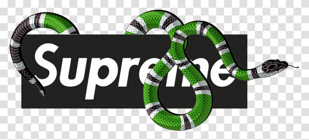 Gucci Clipart Gucci Logo Gucci Supreme Logo, Reptile, Animal, Snake, King Snake Transparent Png