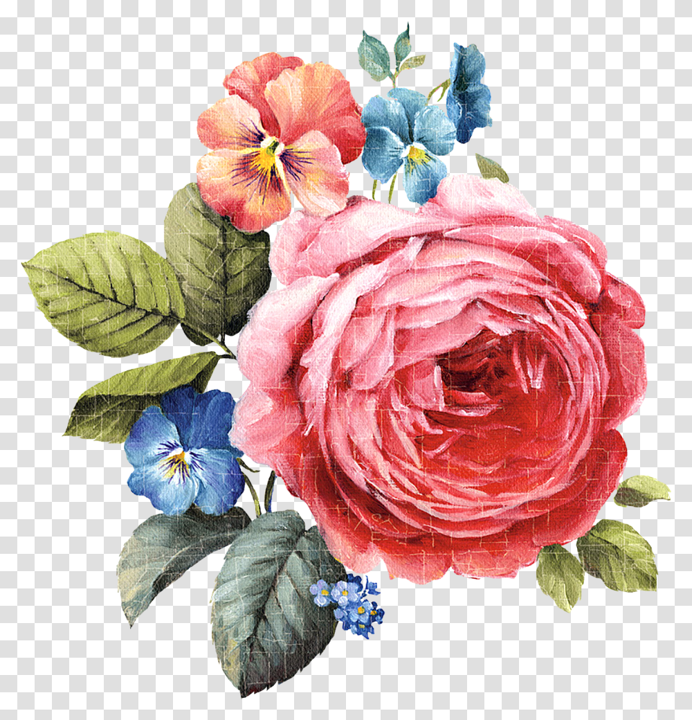 Gucci Flowers Clipart Painted, Plant, Blossom, Rose, Geranium Transparent Png