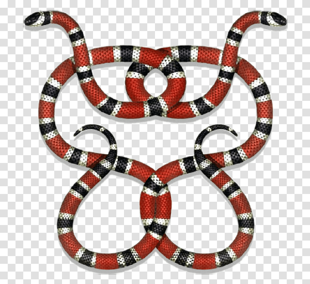 Interpretive Regn stil Gucci Guccigang Snakes Guccilogo Logo Stickerpng Gucci Snake, King Snake,  Reptile, Animal Transparent Png – Pngset.com