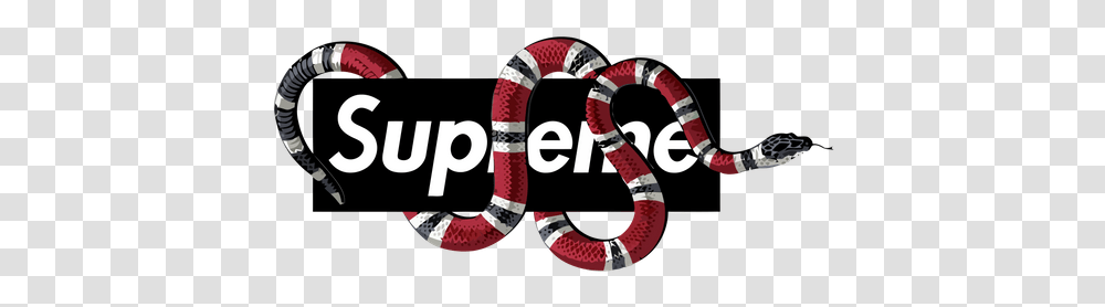 Gucci Logo With Snake, Life Buoy, Person, Human, King Snake Transparent Png