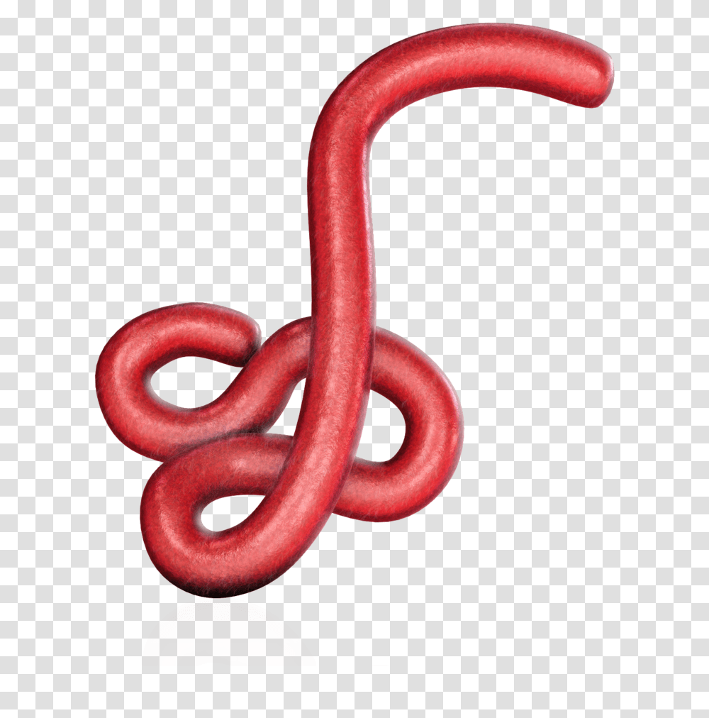 Gucci Snake Ebola Virus, Smoke Pipe, Hook, Chain, Heart Transparent Png