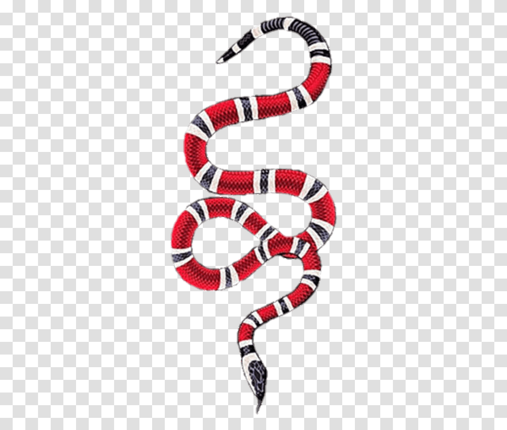 ventilator Leopard hvede Gucci Snake Free Clipart With A Gucci Snake Logo, King Snake, Reptile,  Animal, Person Transparent Png – Pngset.com