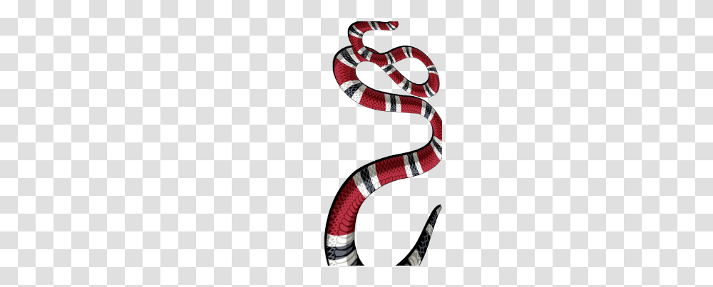 Gucci Snake Image, King Snake, Reptile, Animal Transparent Png