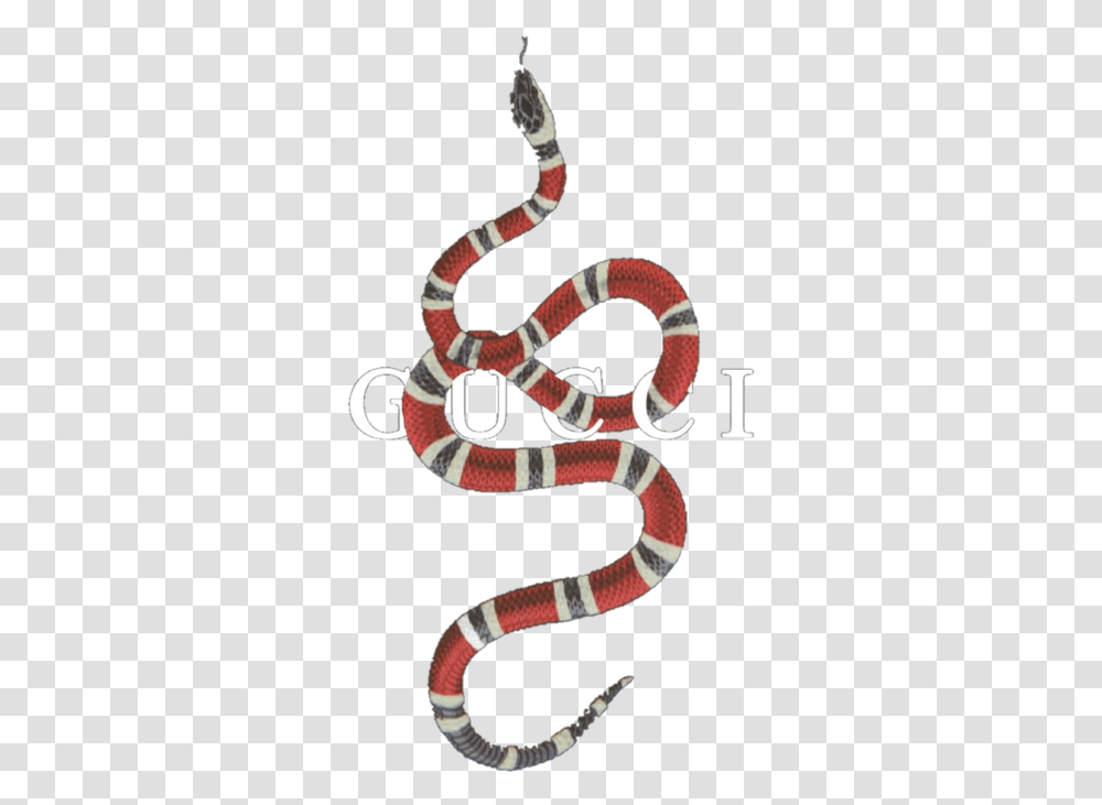 Gucci Snake Logo, King Snake, Reptile, Animal, Person Transparent Png