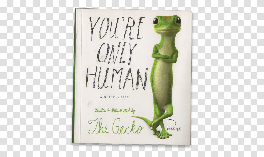 Guerrilla Marketing Graces Portfolio Frog, Text, Plant, Animal, Reptile Transparent Png