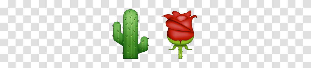 Guess Up Emoji Desert Rose, Plant, Hand, Flower, Blossom Transparent Png