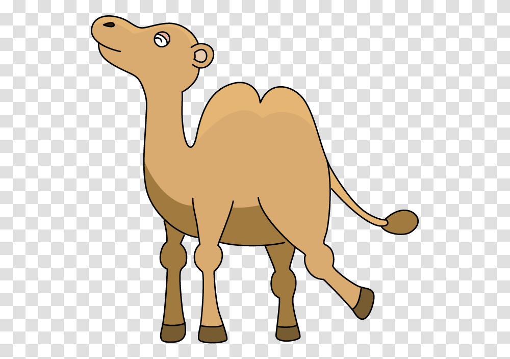 Guess What Day It Is Wednesday Clipart, Camel, Mammal, Animal Transparent Png