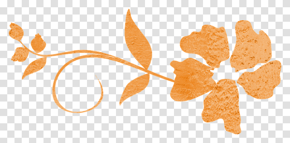 Guest Post Protective Older Brothers, Leaf, Plant, Tree, Maple Leaf Transparent Png