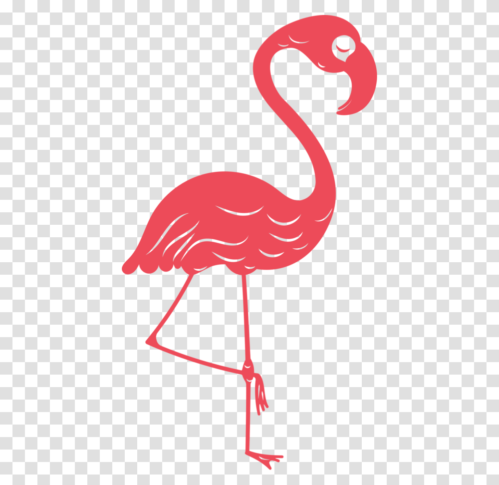 Guide Book, Flamingo, Bird, Animal, Beak Transparent Png