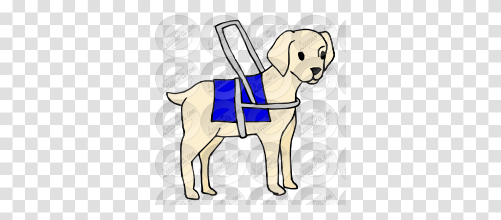 Guide Dog Picture For Classroom Therapy Use, Mammal, Animal, Pet, Canine Transparent Png