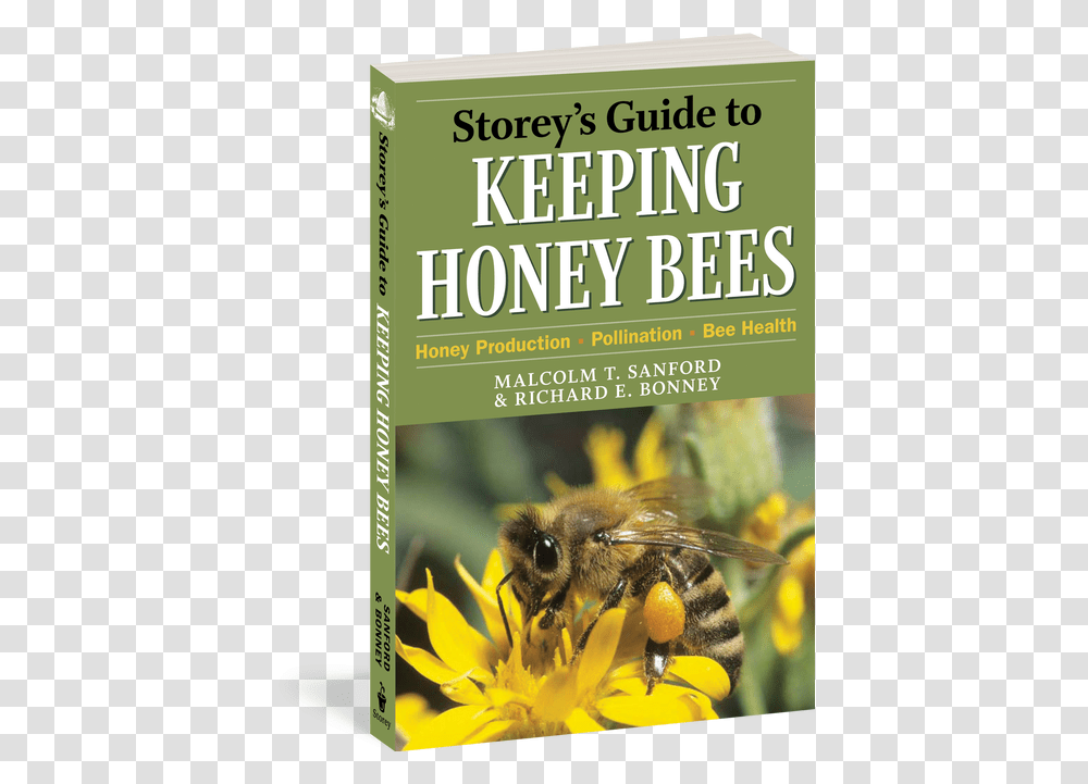 Guide To Keeping Honey Bees Pdf, Insect, Invertebrate, Animal, Apidae Transparent Png