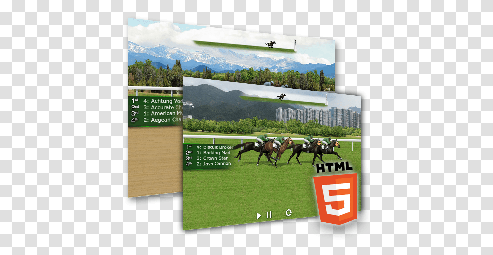 Guide To Online Horse Racing Horse Supplies, Mammal, Animal, Equestrian, Polo Transparent Png
