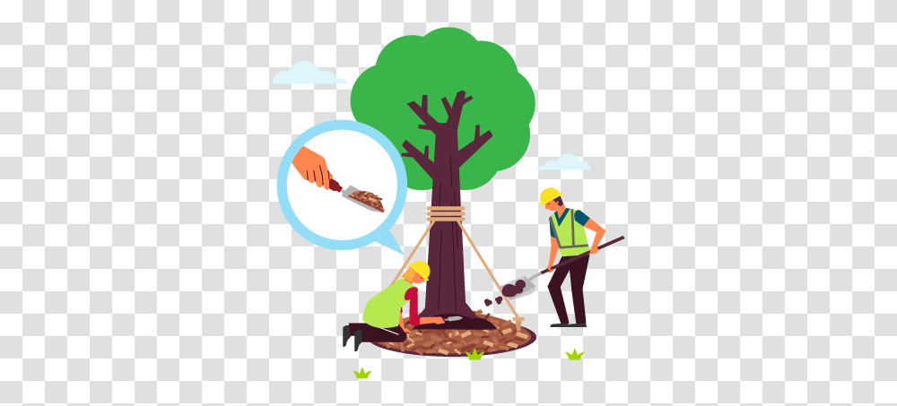 Guide To Planting A Tree, Poster, Advertisement Transparent Png