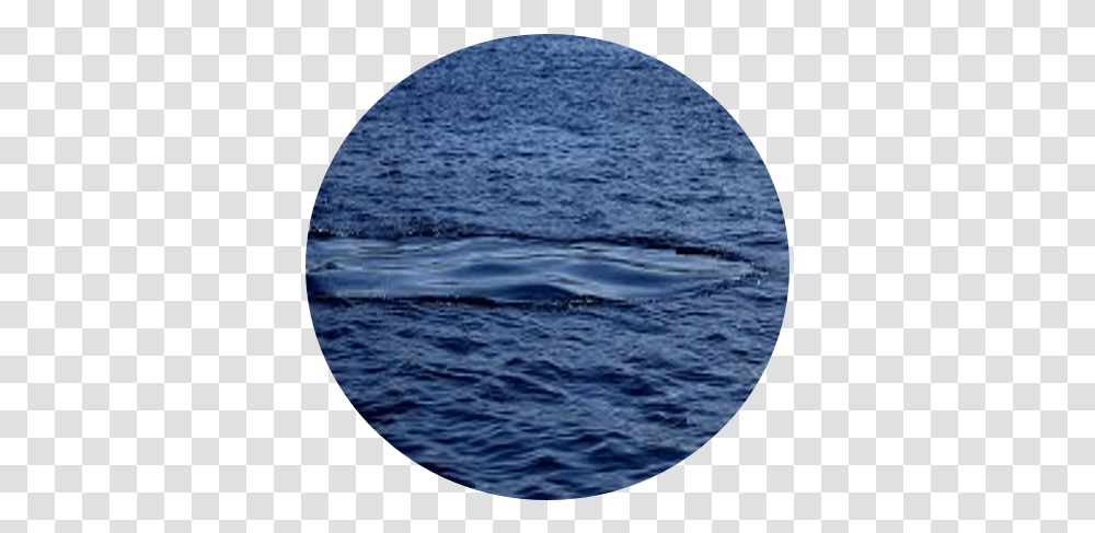 Guide - Hebridean Whale Trail Sea, Window, Porthole, Water, Outdoors Transparent Png