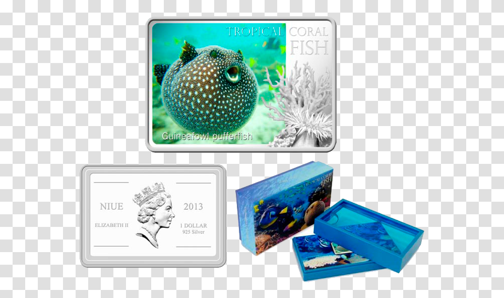 Guinea Fowl Puffer, Fish, Animal, Sea Life, Person Transparent Png