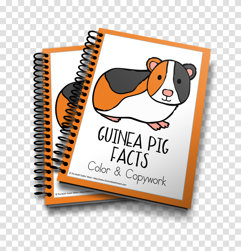 Guinea Pig Color Copywork, Diary, Poster, Advertisement Transparent Png