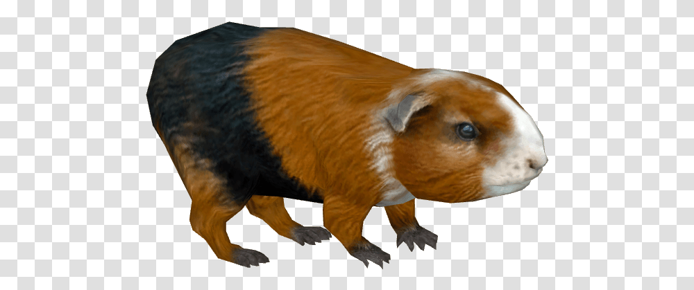 Guinea Pig Guineapig Clipart Background, Animal, Mammal, Dog, Pet Transparent Png