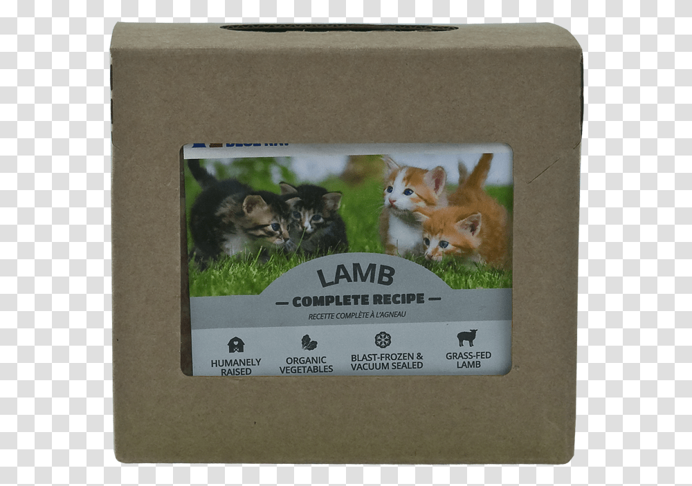 Guinea Pig, Label, Cat, Pet Transparent Png
