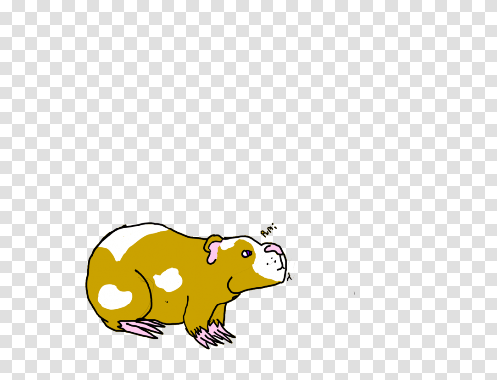 Guinea Pig, Mammal, Animal, Rodent, Wildlife Transparent Png