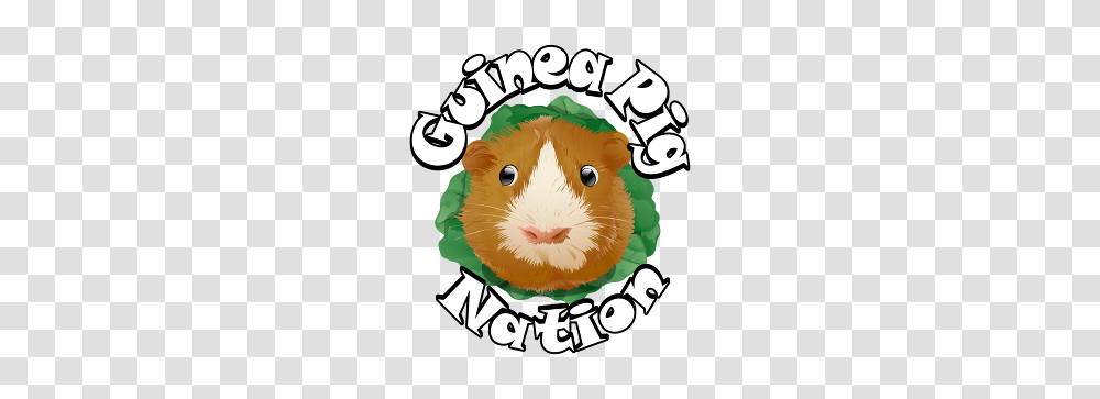 Guinea Pig Nation Logo Guinea Pig Guinea Pig, Rodent, Mammal, Animal, Pet Transparent Png