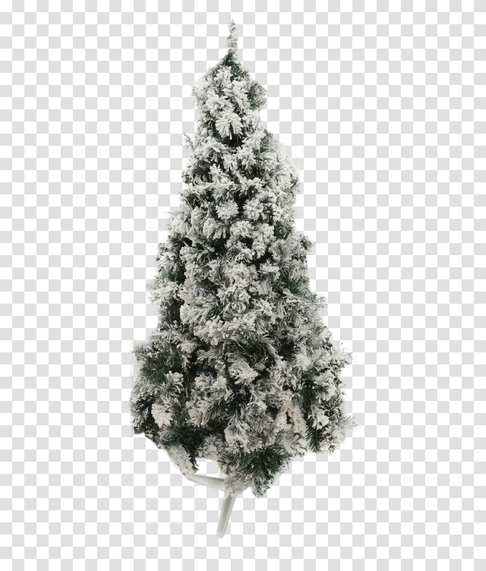 Guirnaldas Christmas Tree, Plant, Ornament, Ice, Outdoors Transparent Png