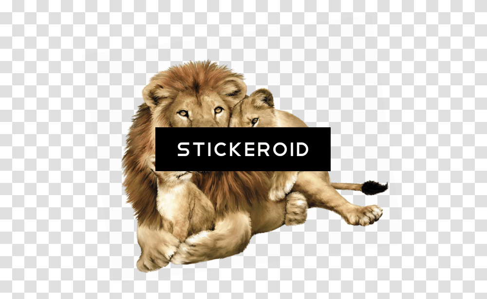 Gujarat Lions Logo Lion With Its Family, Wildlife, Mammal, Animal, Dog Transparent Png