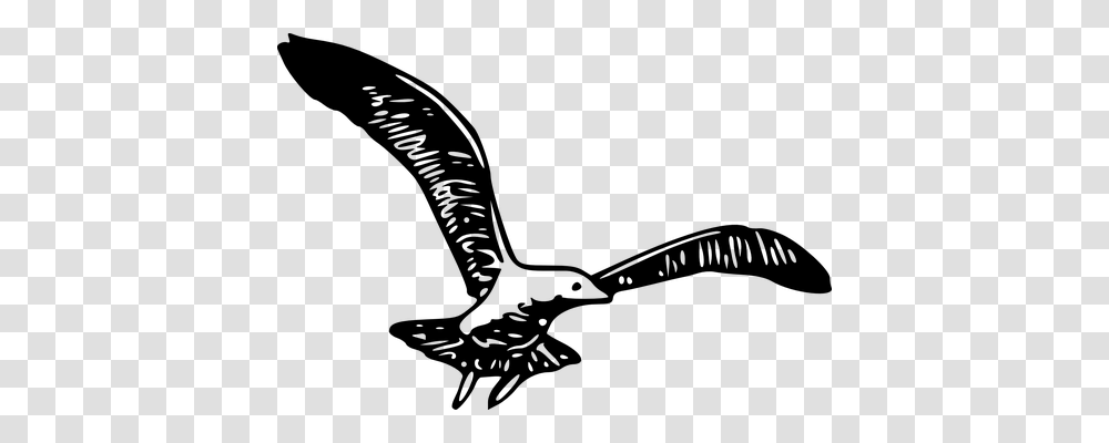 Gull Animals, Gray, World Of Warcraft Transparent Png