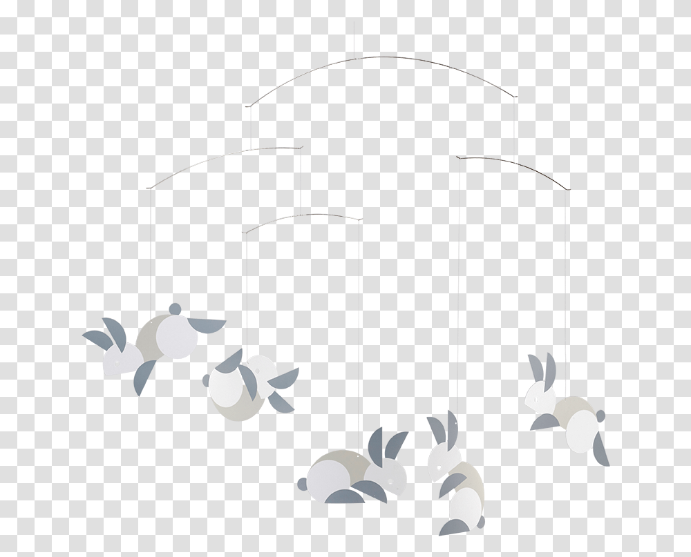 Gull, Animal, Mammal, Bird, Lamp Transparent Png