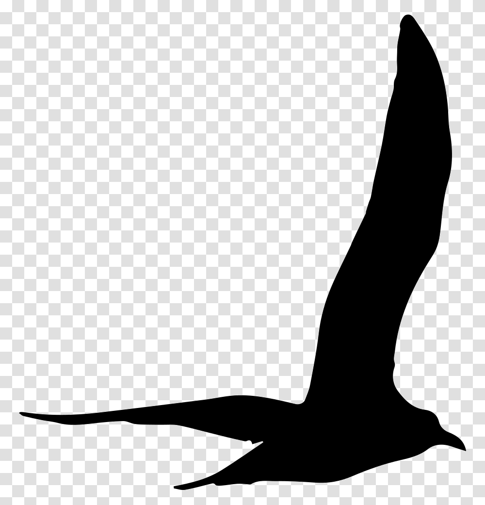 Gull Bird Flying Shape Gaviota Silueta, Animal, Sock, Waterfowl, Goose Transparent Png