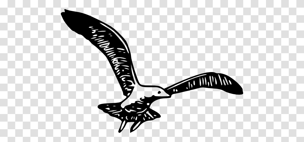 Gull Clipart, Flying, Bird, Animal, Scissors Transparent Png