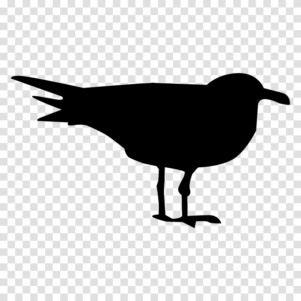 Gulls And Terns Browse, Silhouette, Stencil, Blackbird, Animal Transparent Png