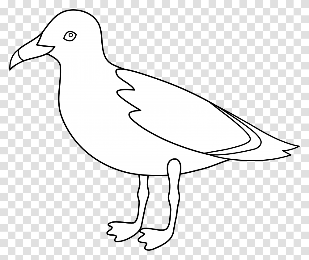 Gulls Bird Drawing Clip Art Gull, Animal, Axe, Tool, Pigeon Transparent Png
