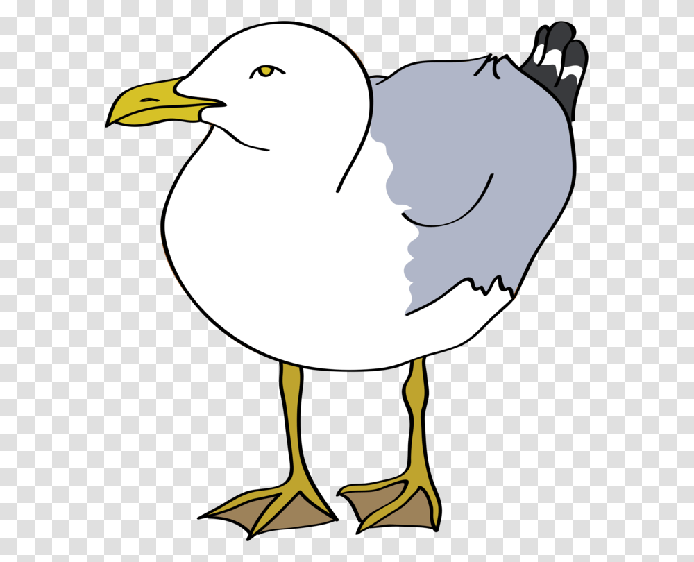 Gulls Drawing European Herring Gull Bird Cartoon, Animal, Duck, Goose, Person Transparent Png