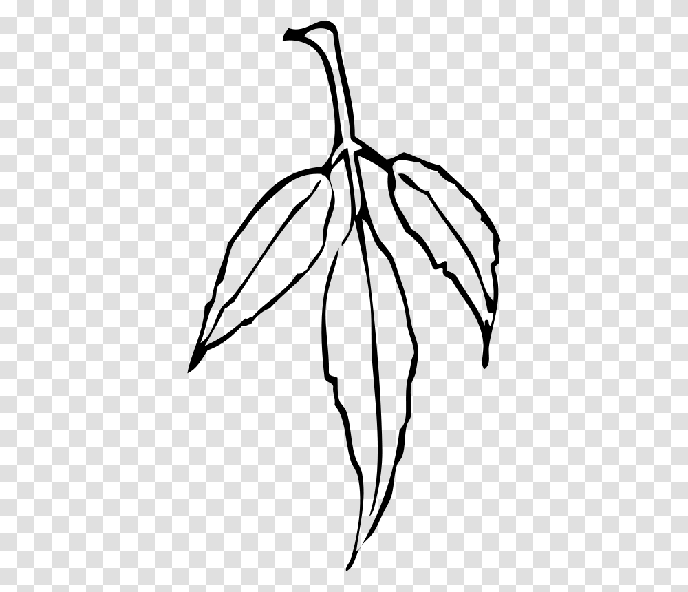 Gum Leaf Clipart, Gray, World Of Warcraft Transparent Png