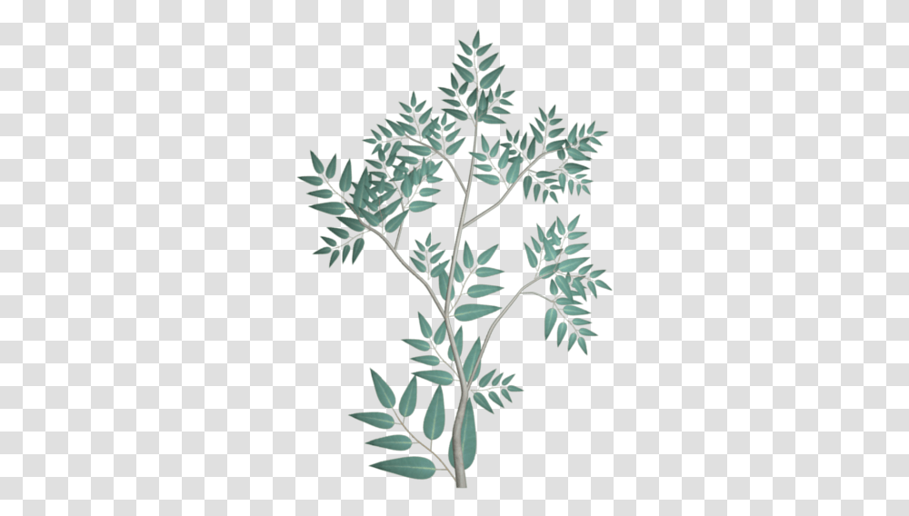 Gum Tree Opengameartorg Eucalyptus Leaves Gum Leaves Silhouette, Leaf, Plant, Flower, Blossom Transparent Png