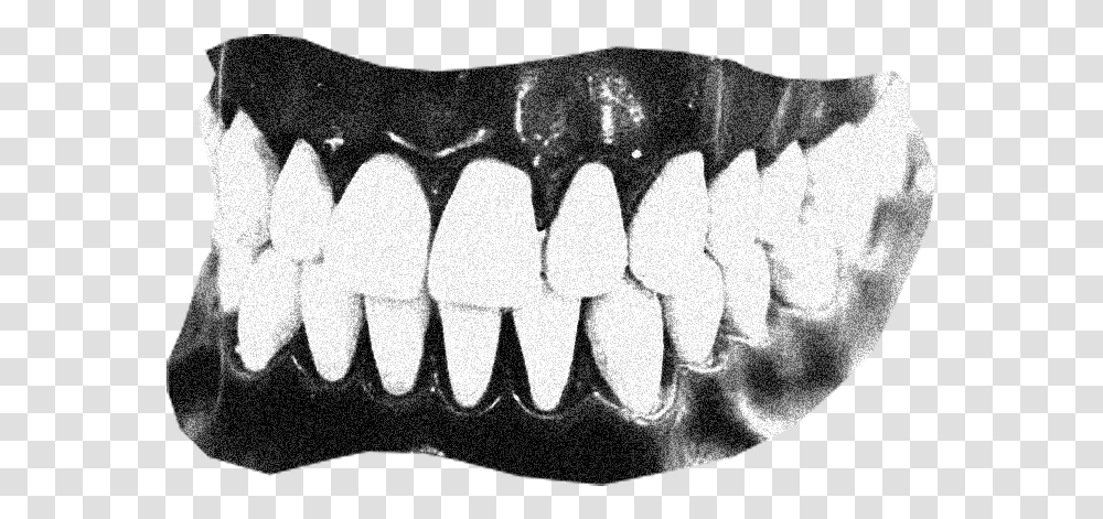 Gums, Teeth, Mouth, Lip, Rug Transparent Png