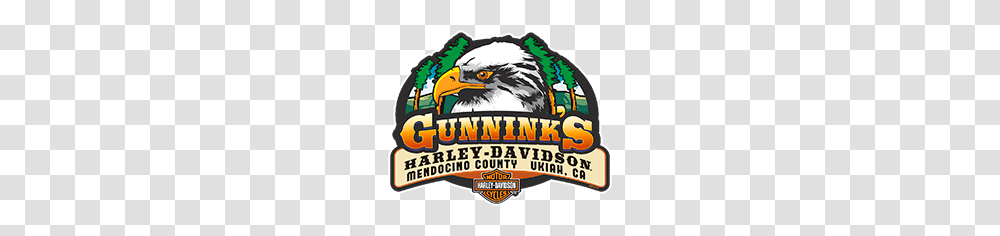 Gunninks Harley Davidson In Ukiah Ca New And Used Motorcycles, Eagle, Bird, Animal, Beak Transparent Png