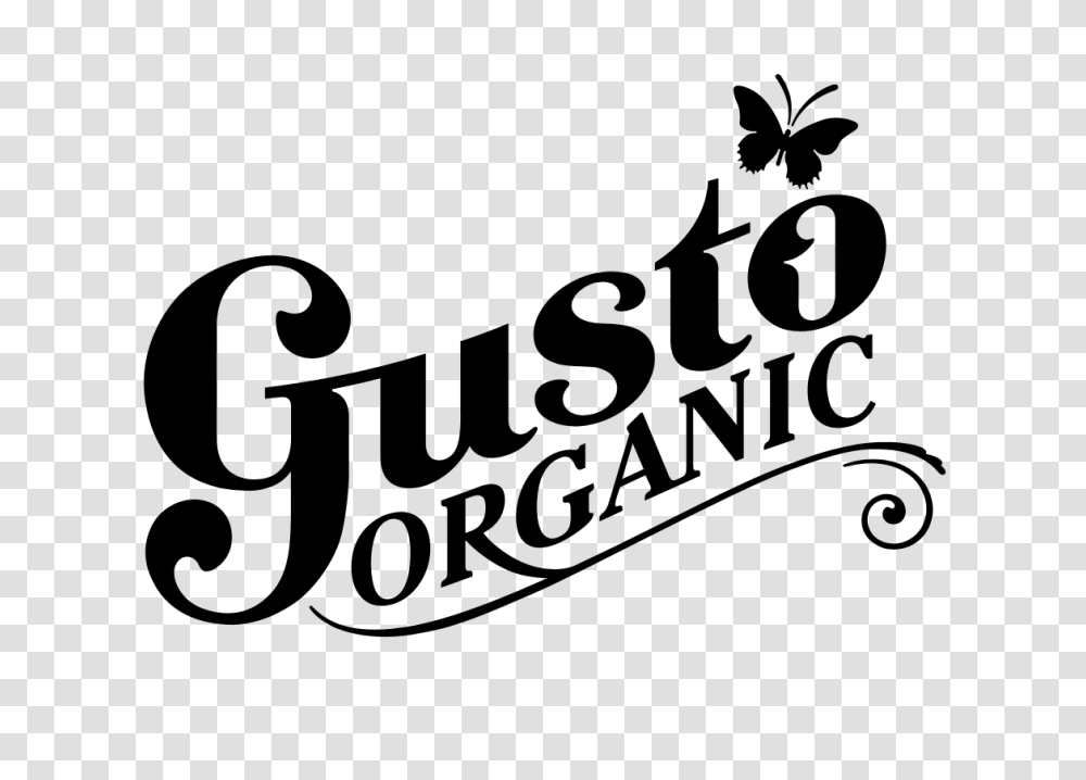 Gusto Organic Ginger With Chipotle, Gray, World Of Warcraft Transparent Png