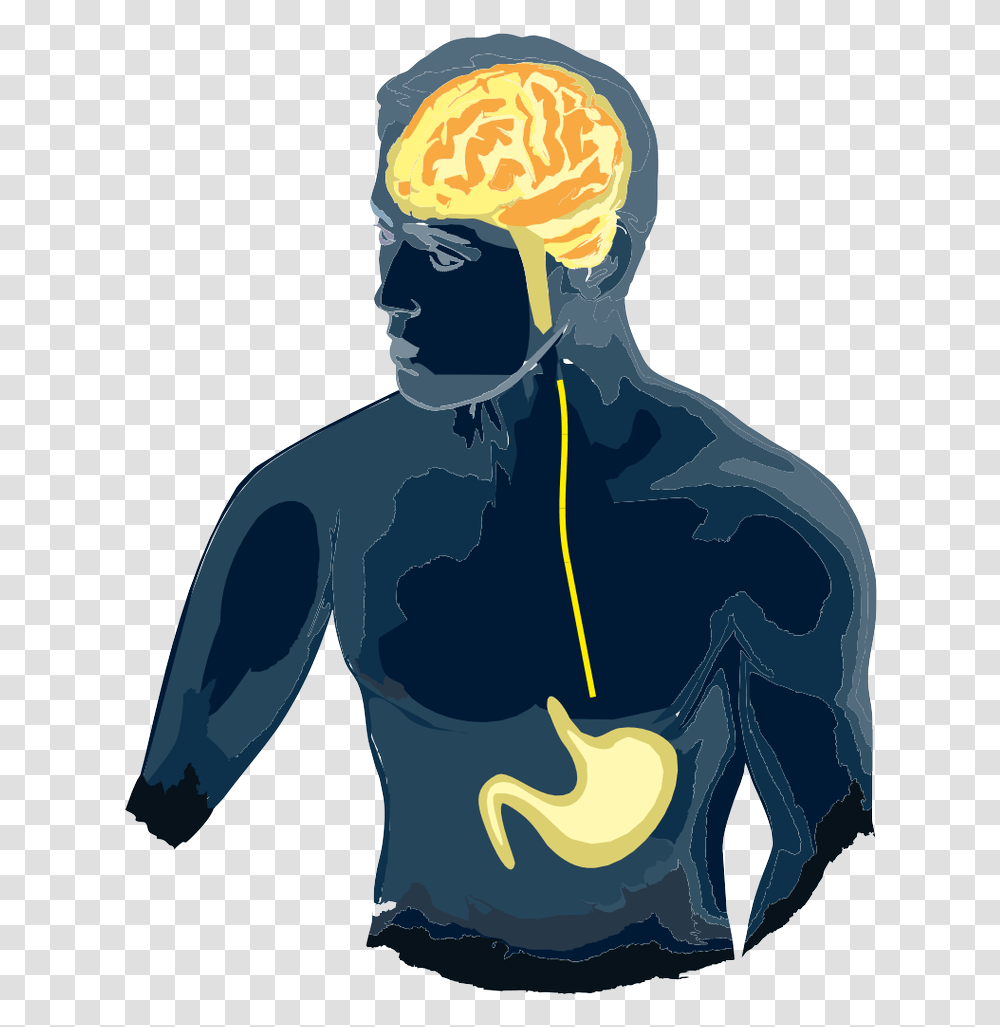 Gut Brain Axis Clipart Download Gut Brain Axis Free, Person, Leisure Activities Transparent Png