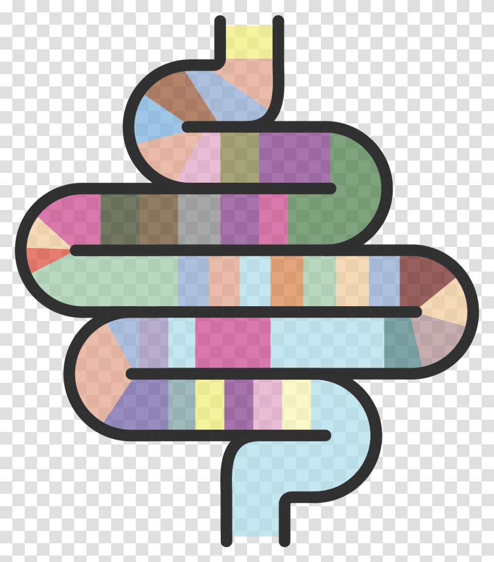 Gut Standard Intestines With Dna, Dynamite Transparent Png